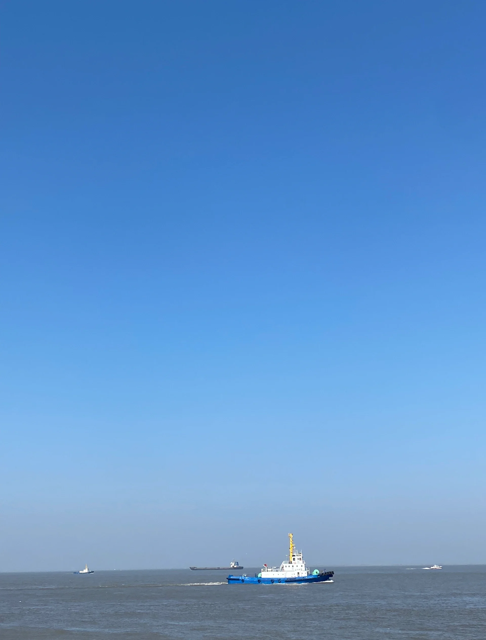 宝山滨江(宝山滨江公园好玩吗)